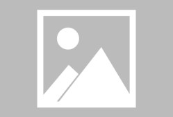 爱游戏奥兰多魔术训练开放日，清晨迎来里程碑引欢呼，全明星赛在即，团队化学反应显著的简单介绍